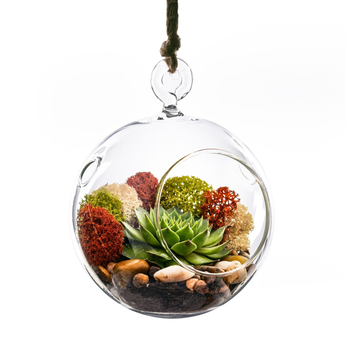 Glass Plant Terrarium Tealight Candle Holder 4.5" Clear