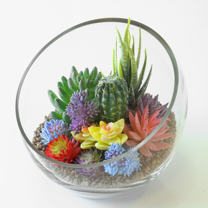 Glass Slanted Cut Asymmetrical Glass Bowl Vase Plant Terrarium Pod 