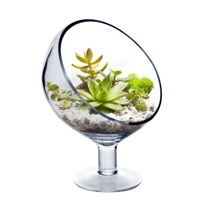 Glass Slant Cut Short Stand Satellite Terrarium Bowl Candle Holder