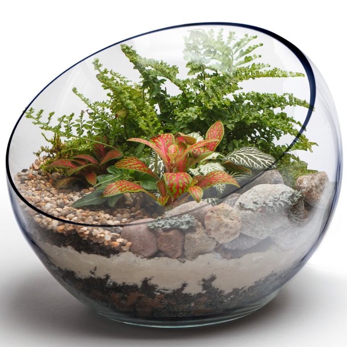 glass terrarium tilted slant cut bowl