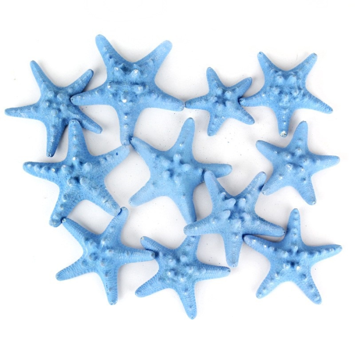 3"-4" Baby Blue Knobby Horned Sea Star Vase Fillers