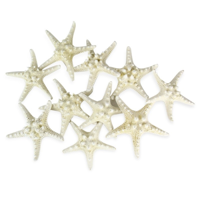 5"-6" White Knobby Horned Sea Star Vase Fillers