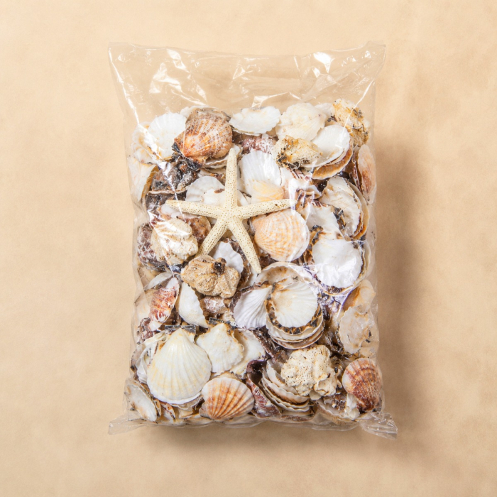 Mixed Sea Shells with Bleached Finger Starfish (19.8 lbs/Case)
