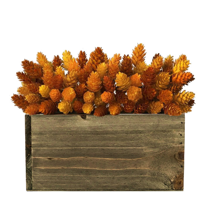 Square Planter Wood Box with Plastic Liner 8" x 8" x 4"