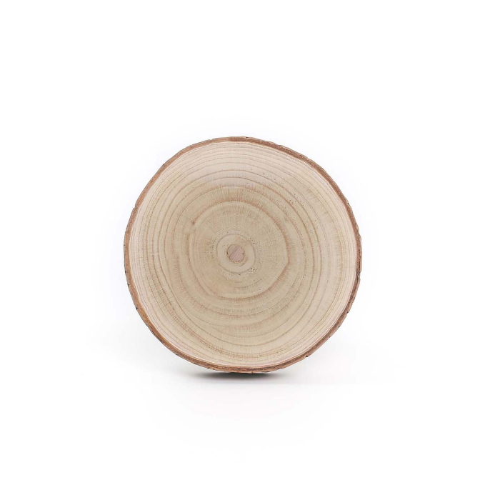 wood slice with bark