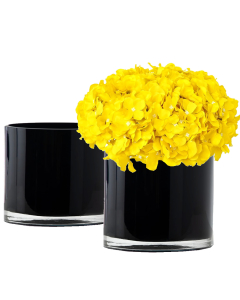 black glass cylinder vases