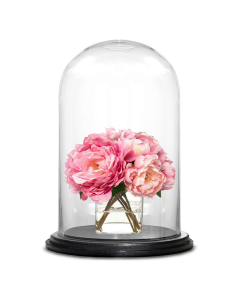 Glass Dome Cloche Decorative Plant Terrarium Bell Jars with Wood Base H-16" x W-10" (Wholesale Pack of 2)