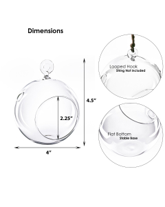 Glass Plant Terrarium Tealight Candle Holder 4.5" Clear