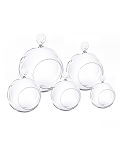 hanging glass terrarium orbs 