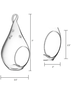 Glass Plant Terrarium Teardrop Tealight Candle Holder 7.25" Clear