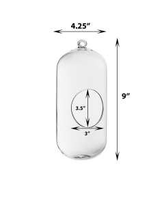 Glass Hanging Plant Terrarium Capsule Tealight Holder 9.5" Clear