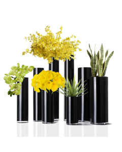 glass cylinder vases