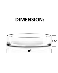 Glass Cylinder Vase. D-8" H-1.5" (Wholesale 12 PCS/Case)