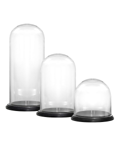 Glass domes cloches with wood bases
