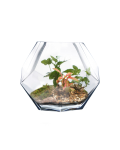 Geometric Faceted Gem Glass Terrarium Vases Bowl H-6" x W-6" Clear