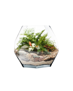 Geometric Faceted Gem Glass Terrarium Vases Bowl H-7" x W-7" Clear (Wholesale Pack of 4)