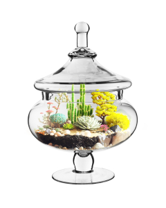glass candy buffet apothecary jars