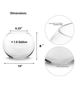 Glass Bubble Bowl wholesale