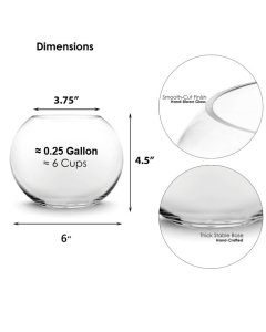 glass bubble bowl