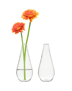 clear glass mini bud vases 