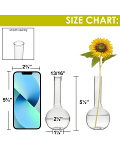 clear glass mini bud vases 