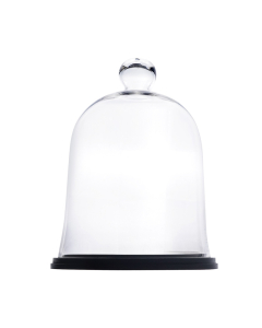 Glass Dome Cloche Terrarium With Black Wood Base 17" x 13" Clear
