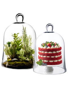 glass cloches domes plant cover