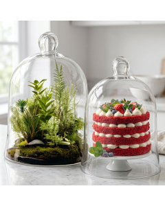 glass cloches domes