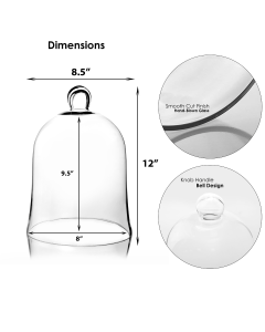 glass cloches domes plant cover