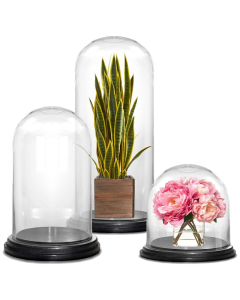 Glass domes cloches with wood bases