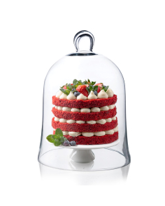 Glass Dome Cloche Bell Jar Terrarium Cover 12" x 8.5" Clear (Pack of 4)