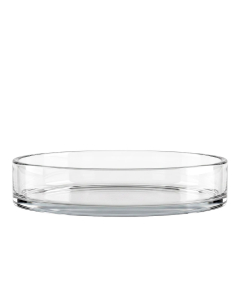 glass cylinder vase
