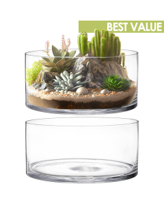 glass cylinder vases