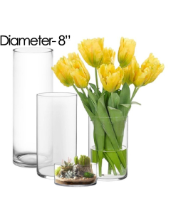 8 inches glass cylinder vases