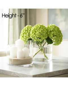 glass cylinder vases