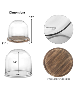 11 inches glass dome with wooden brown base