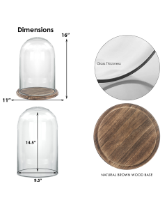 16 inches glass dome with wood brown base