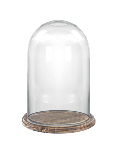 16 inches glass dome with wood brown base