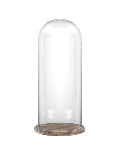 20 inches glass dome with wood brown base