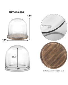 glass dome with brown wood base