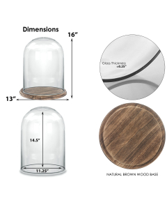 Glass dome with brown wooden base