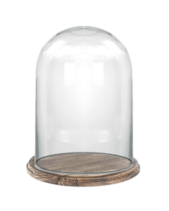 Glass dome with brown wooden base