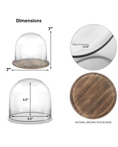 6 inches glass dome clear with brown rustic base