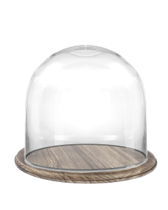 6 inches glass dome clear with brown rustic base