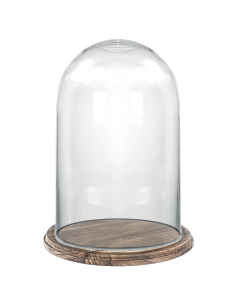 Glass Dome Cloche with Wooden Brown Base. H-11", D-7" 