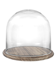 glass dome with brown wood base