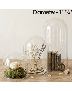 glass dome cloches