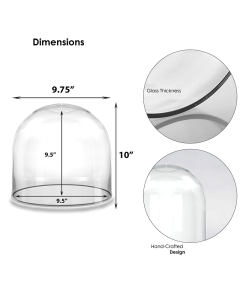Glass Dome Cloche Decorative Plant Terrarium Bell Jars 10" (Wholesale Pack of 4)