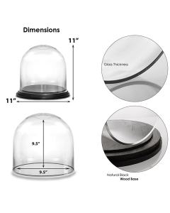 Glass Dome Cloche Decorative Plant Terrarium Bell Jars with Black Wood Base H-11" x W-10" (Wholesale Pack of 2)
