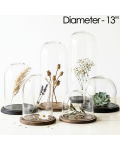 glass dome cloches